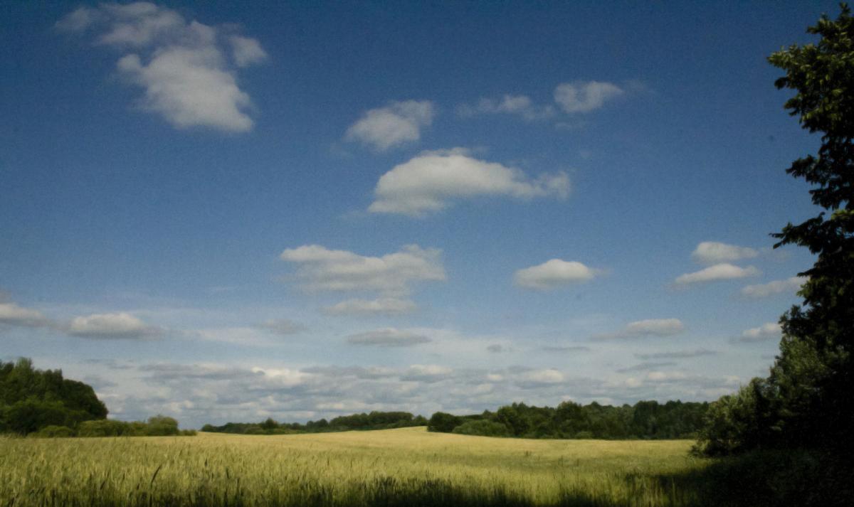 Пейзаж, облака и поле