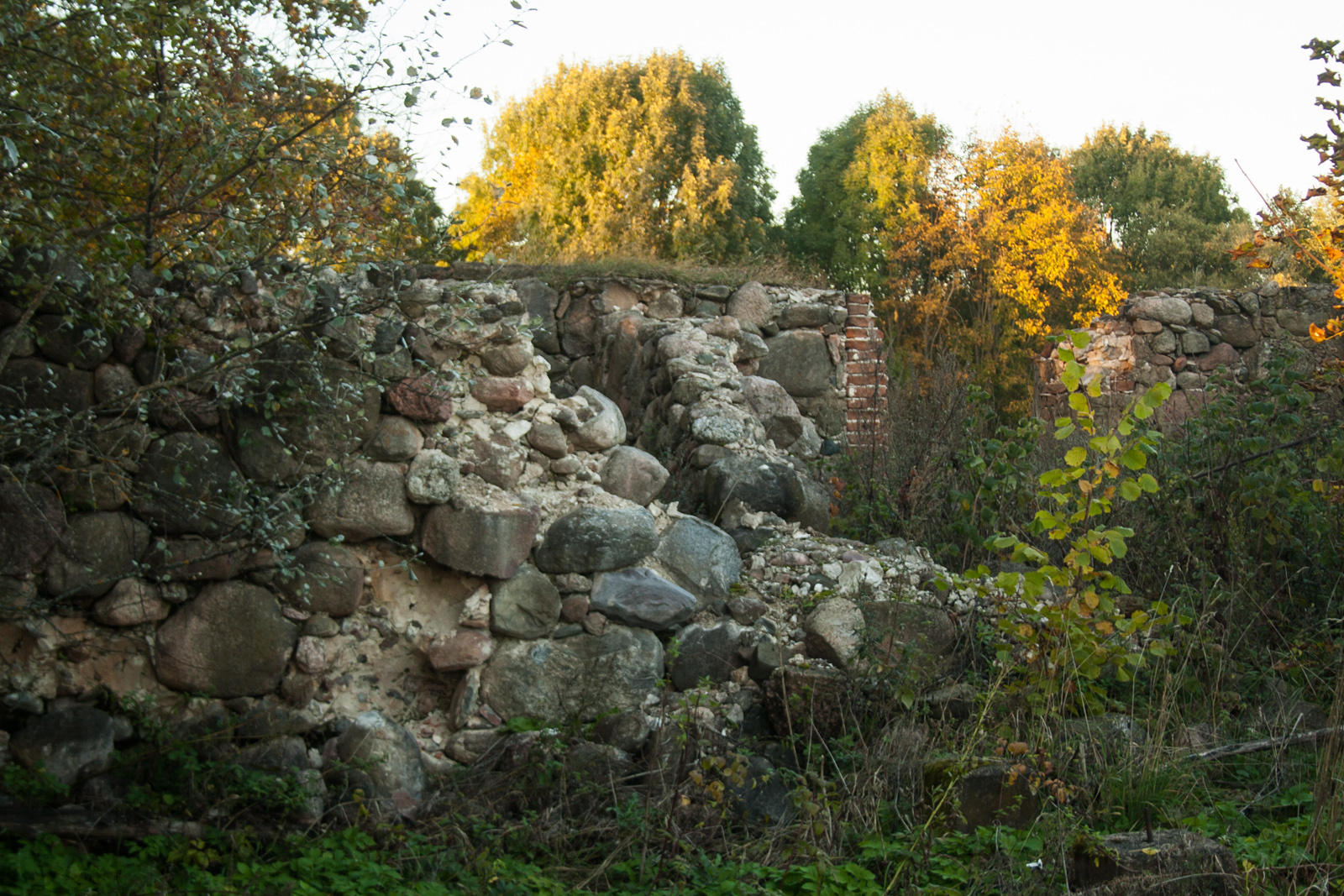 Усадьба Сидоровичи. Обрушенные стены