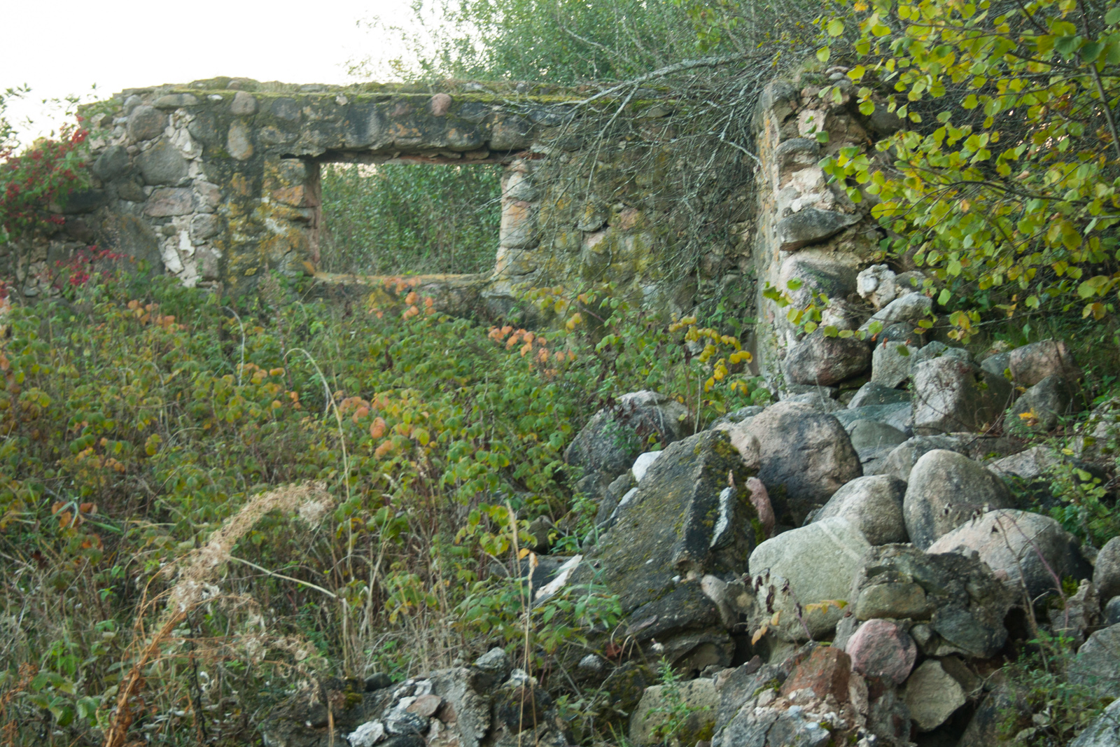 Заросшие руины усадьбы Гвоздово