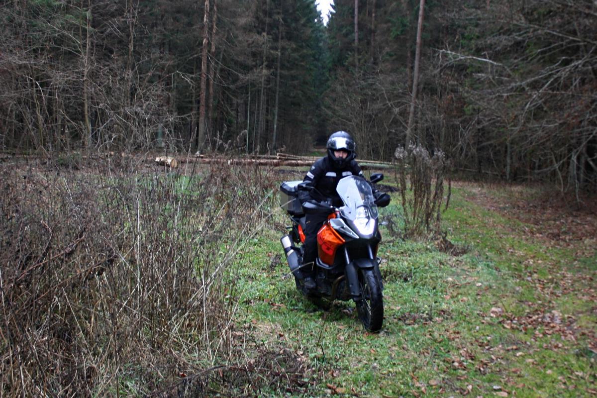 KTM Adventure 1190 на лесной дороге