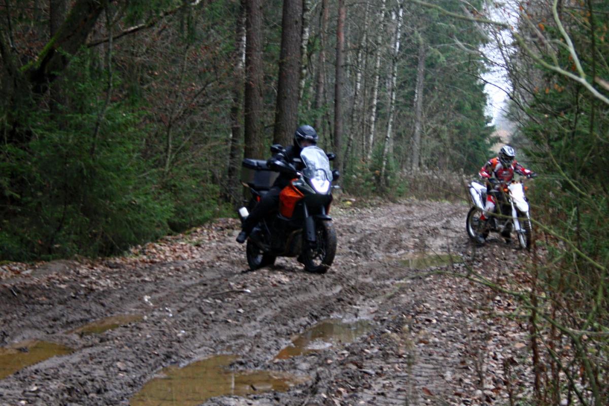 KTM Adventure 1190  на скользкой грязной лесной дороге объезжает препятствие. Колея, грязь, бездорожье.